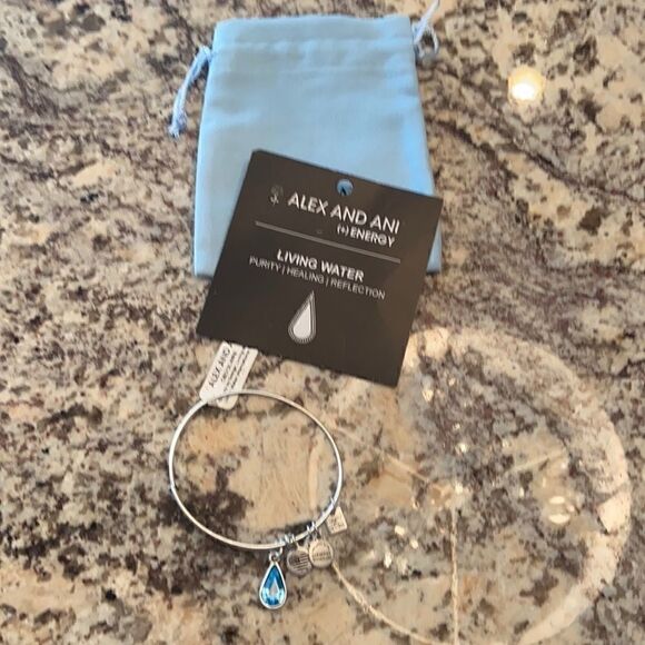 𝅺Alex and Ani bracelet - Picture 1 of 4